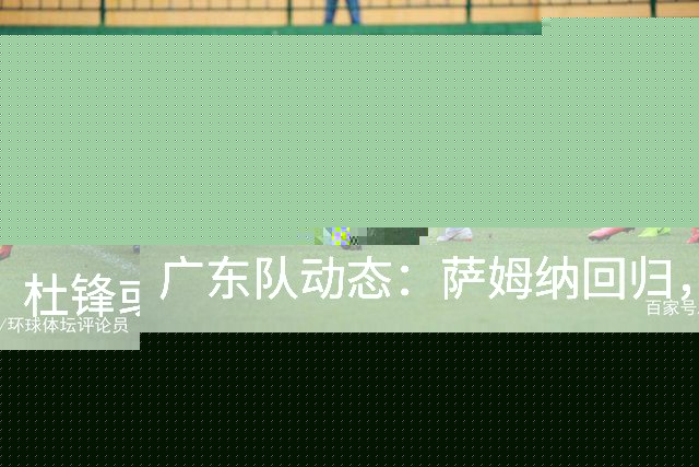 广东队动态：萨姆纳回归，杜锋或将出任国家队主教练？
