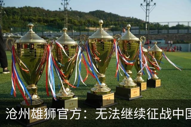 沧州雄狮官方：无法继续征战中国足球职业联赛